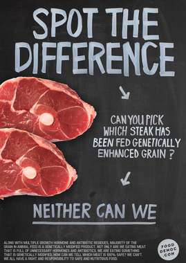 Poster_Meat.jpg