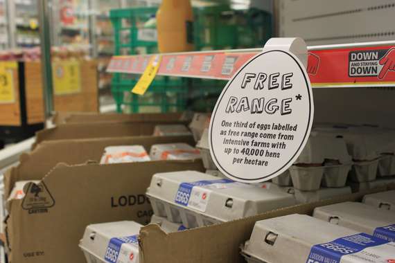 Free range eggs*.jpg