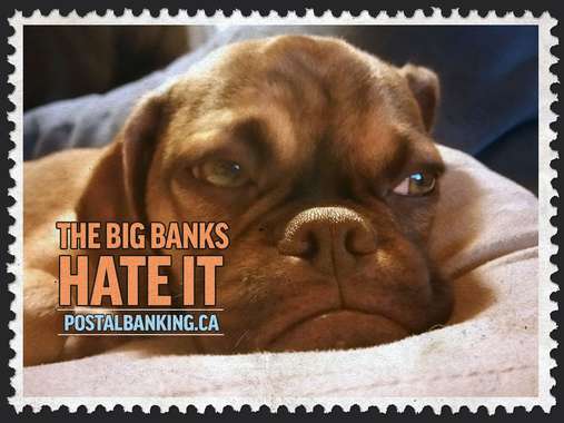 13072904_1338632899497751_7326611203416394943_o (1).jpg