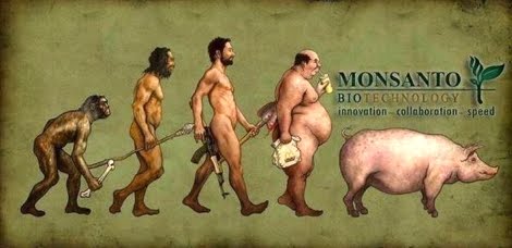 Obama garantiza imunidad para Monsanto / Obama grants inmunity for Monsanto