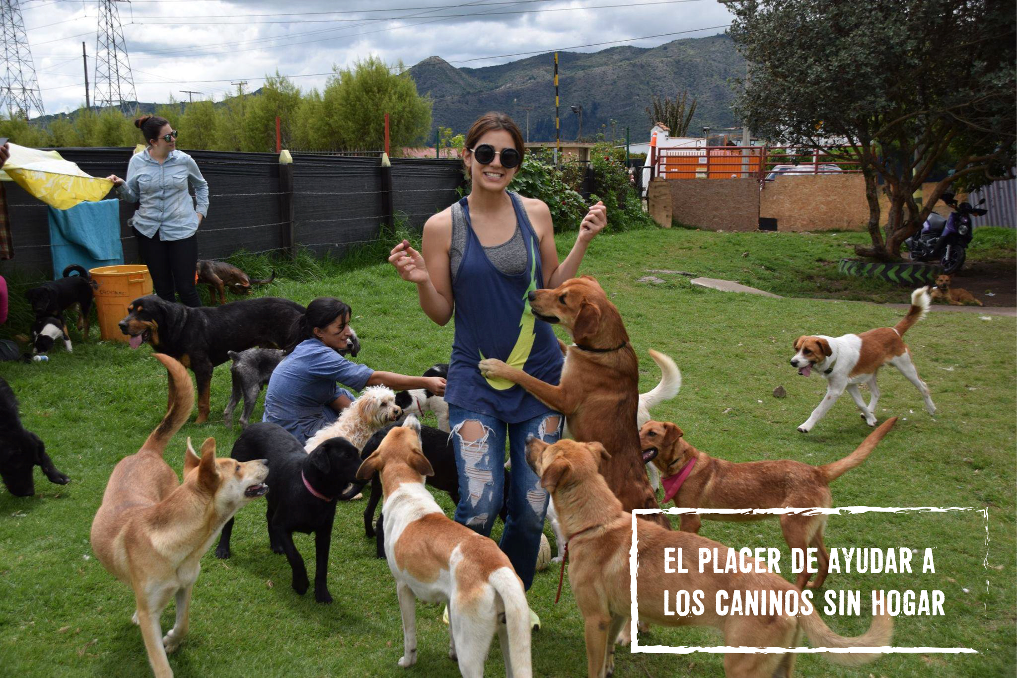 El placer de ayudar a los caninos sin hogar